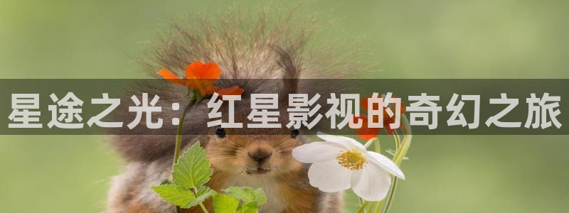 樱花电影在线免费入口