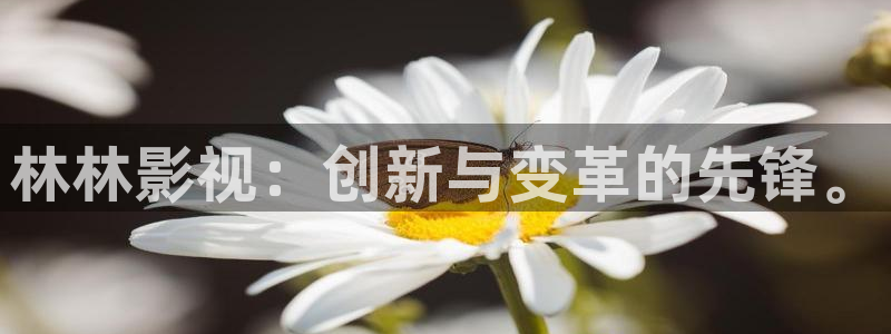 樱花福利影院yy